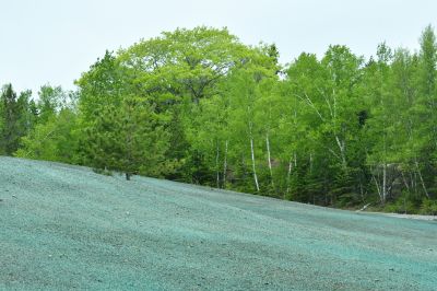 Inside the Hydroseeding Process