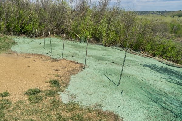 House Lawn Hydroseeding - House Lawn Hydroseeding Huntsville, Alabama